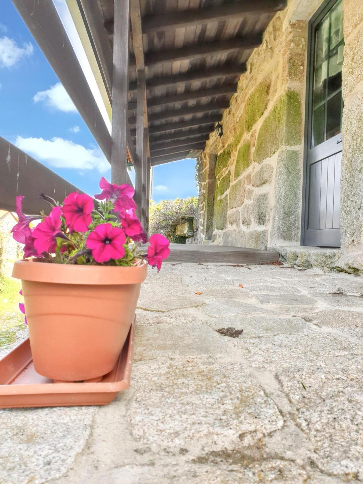 Welcoming House With Mountain View In Agueda Shared Pool Villa Urgueira  Екстериор снимка